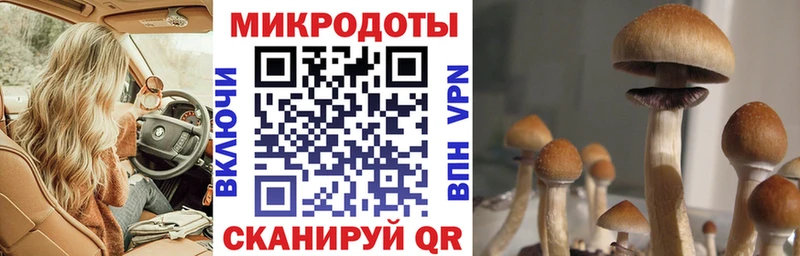 blacksprut Верхняя Салда Галлюциногенные грибы ЛСД