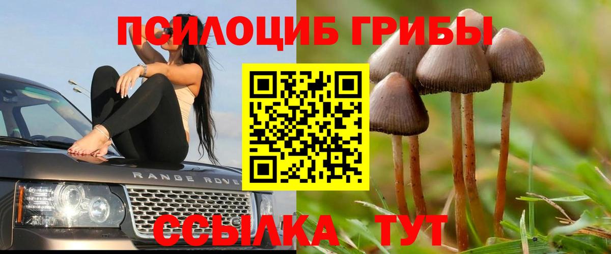 Верхняя Салда  Галлюциногенные грибы мухоморы  Вход с VPN 